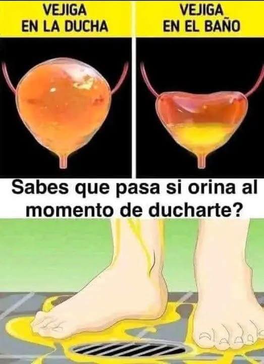 Vejiga en la ducha vs. vejiga en el baño