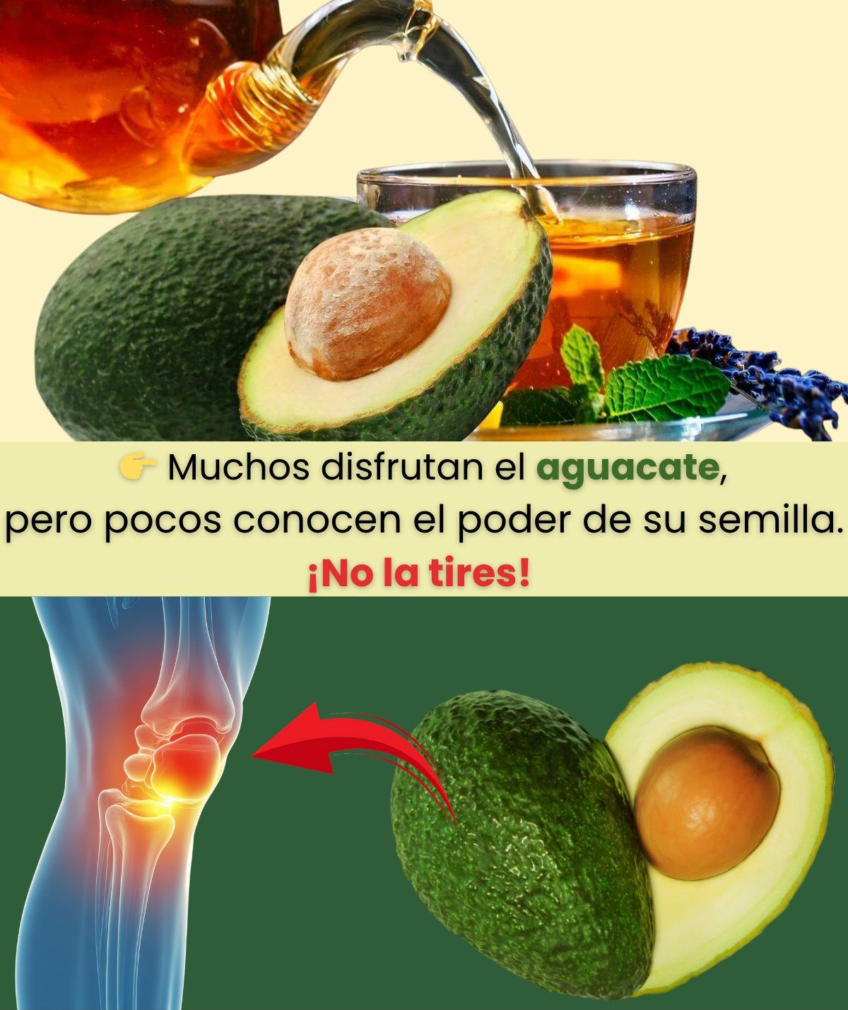 Propiedades de la semilla de aguacate
