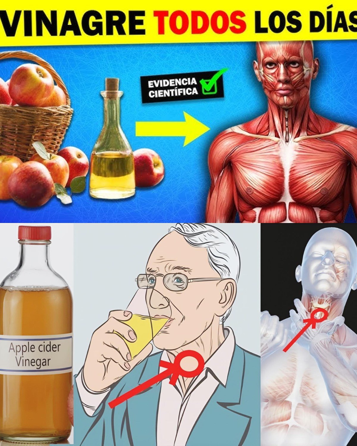 Beneficios del vinagre de manzana