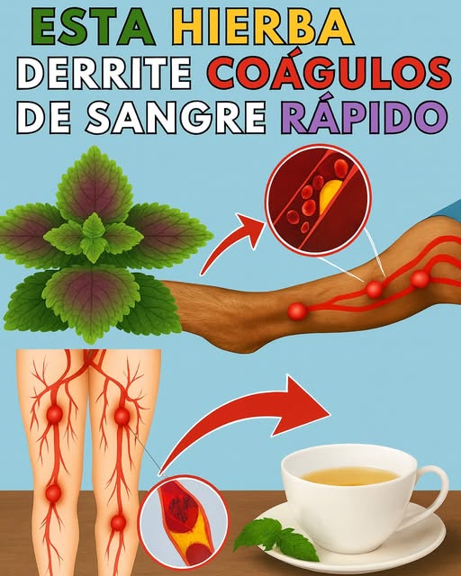 Hierbas para disolver coágulos de sangre