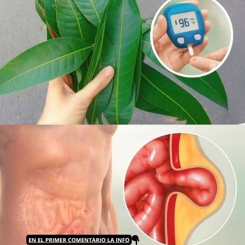 Hoja de Mango y Glucómetro