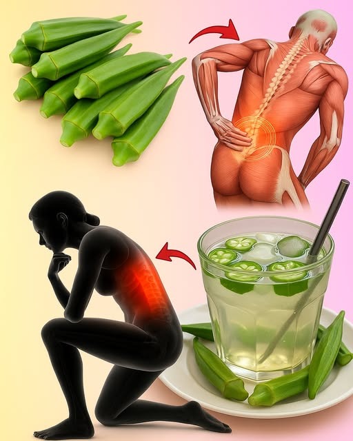 Beneficios del Quimbombó para el dolor de espalda